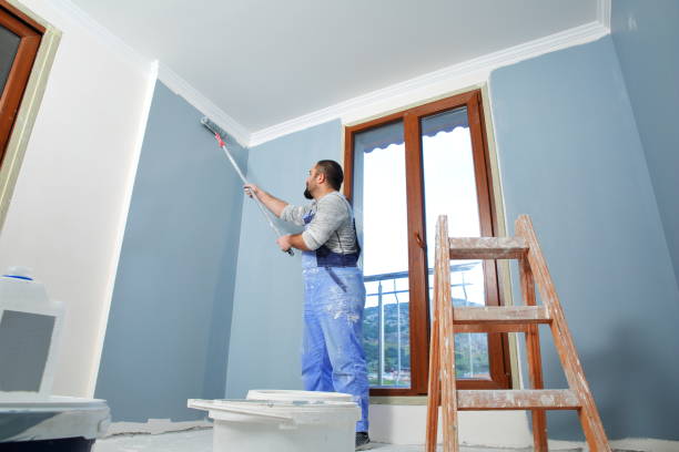 Best Fire-Damaged Drywall Repair  in Rantoul, IL